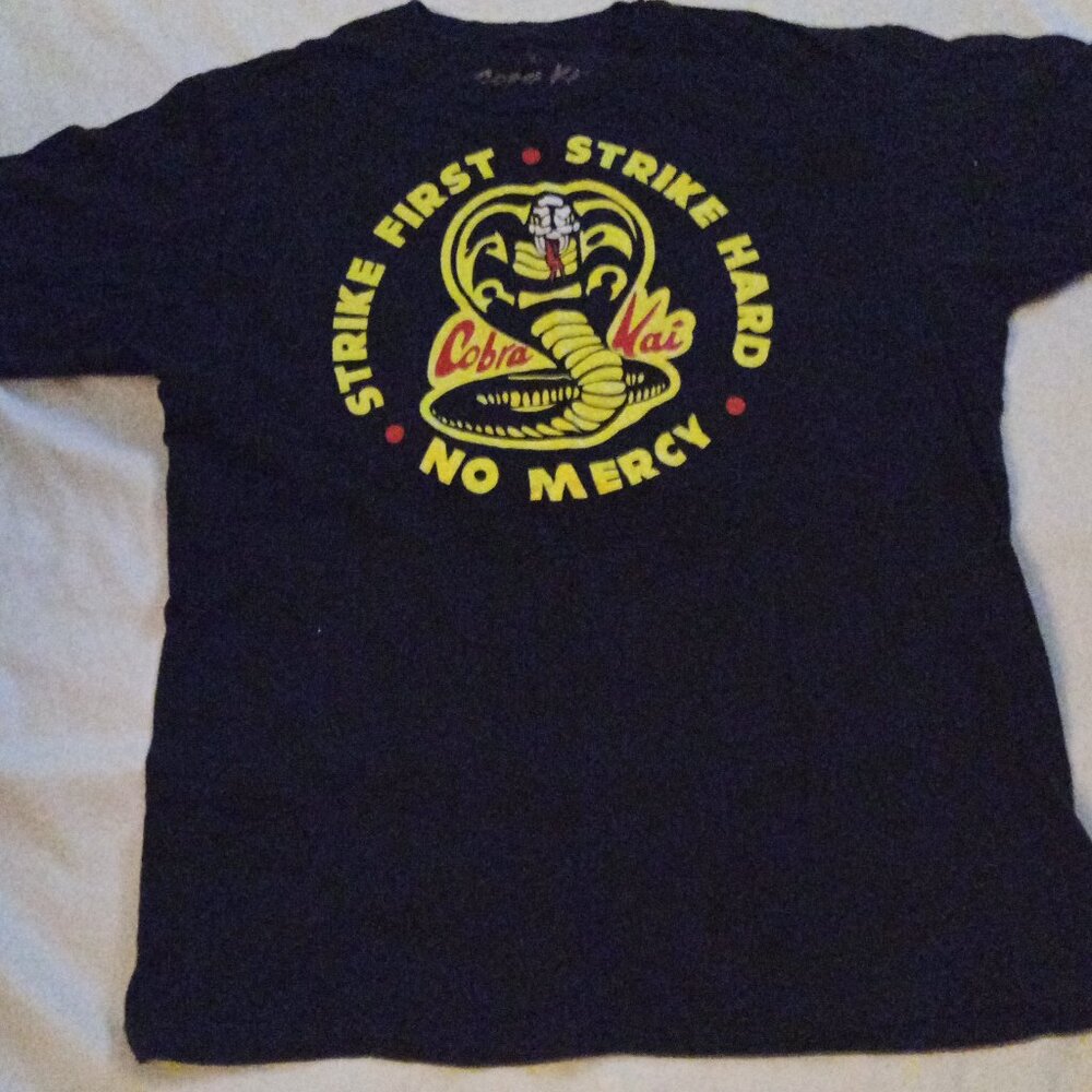 Cobra Kai Strike First Strike Hard No Mercy
